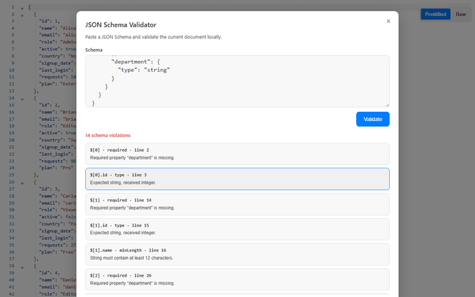 JSON Schema Validator showing a local schema, validation summary, instance paths, messages, and source-line links
